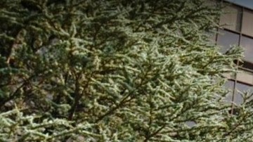 145 Huguenot St, New Rochelle