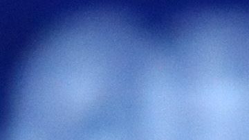 Serena Williams celebra la victoria que marca su paso a la final del Us Open 2019.