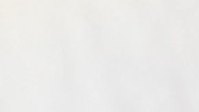 shutterstock_1011440542