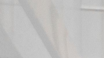 shutterstock_1015406521