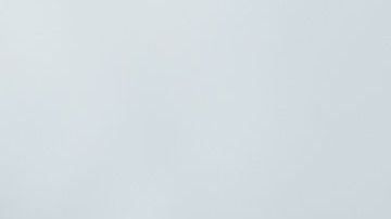 shutterstock_1081692827