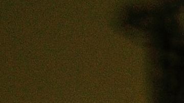 shutterstock_1116698093