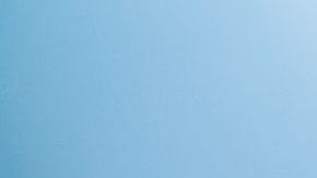 Quiso darle un escarmiento por meterse en su vida.