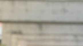 shutterstock_1142062364