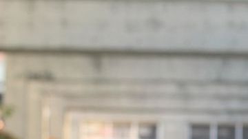 shutterstock_1142062364