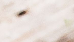 Se ha demostrado que consumir entre 5 y 10 gramos (o de preferencia más) de fibra soluble al día, es uno de los mejores métodos para reducir el colesterol LDL. Y por fortuna, el camote es muy rico en fibra soluble e insoluble.