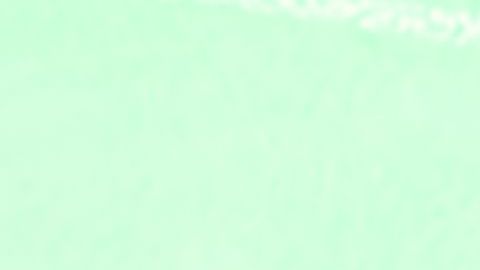 shutterstock_116997403