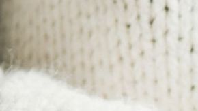 shutterstock_1214737027