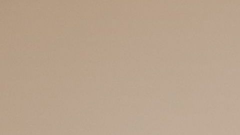 shutterstock_1278905716