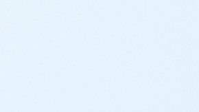 shutterstock_1388350913