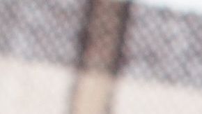 shutterstock_1454751008