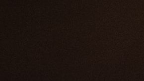 shutterstock_1457200706