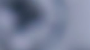 Cucarachas en el hogar, Shutterstock