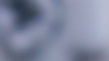 Cucarachas en el hogar, Shutterstock