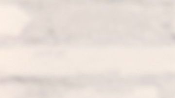 shutterstock_166268645