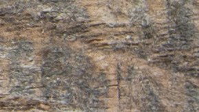 shutterstock_222546226