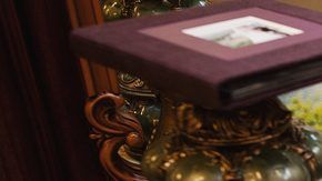 Una pulga matrimonial en Houston.