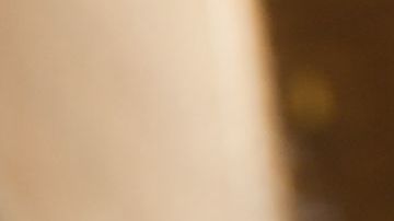 shutterstock_375477457