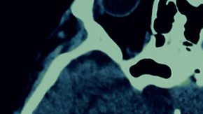 shutterstock_390249514