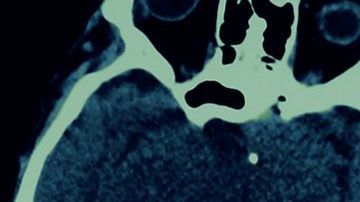 shutterstock_390249514