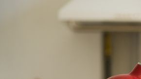 Extraordinaria receta de postre para diabéticos.