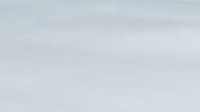 shutterstock_458052841