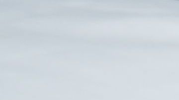 shutterstock_458052841