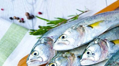 Prepara deliciosas recetas con el pescado más fresco y de temporada.