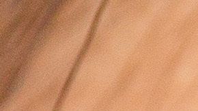 shutterstock_496954453