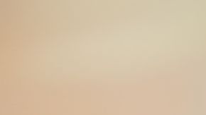 shutterstock_515270254