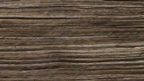 Si bien existen algunos alimentos ricos en zinc, que no son ideales para el desayuno. Hay maravillosas opciones como son los cereales integrales, los hongos, el queso, los frutos secos y los vegetales de hoja verde.