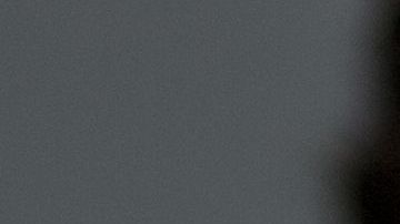 shutterstock_533920438