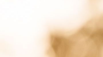 shutterstock_539919946