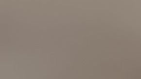 shutterstock_559549795