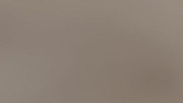 shutterstock_559549795