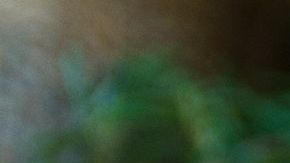 shutterstock_570731473