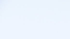 El aceite de palma está compuesto en un 50% de ácidos grasos saturados.