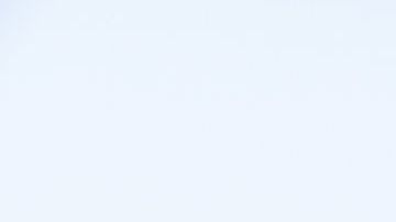 El aceite de palma está compuesto en un 50% de ácidos grasos saturados.