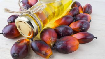 El aceite de palma está compuesto en un 50% de ácidos grasos saturados.