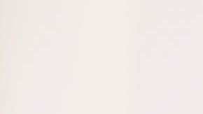 shutterstock_606858503