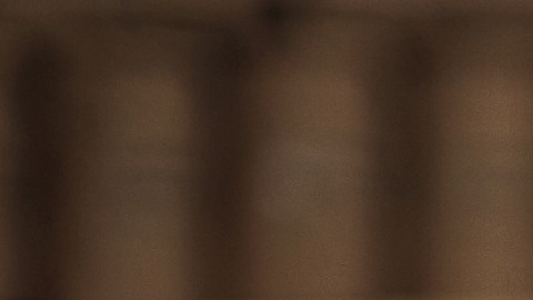 Los jóvenes pueden ingresar a corporaciones a conocer el mundo laboral y explorar oportunidades profesionales.