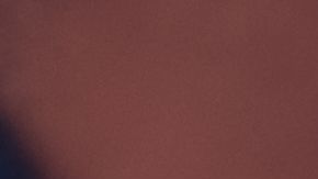 shutterstock_708732331