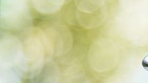 El mejor aceite de oliva extra virgen del 2019 ¡Es español!