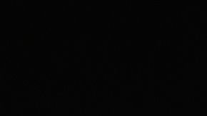 shutterstock_760635742