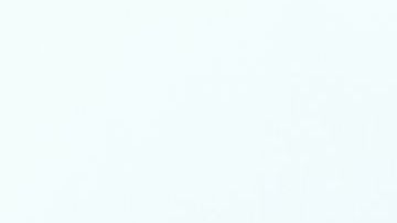 shutterstock_776838916