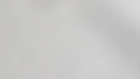 shutterstock_782559754