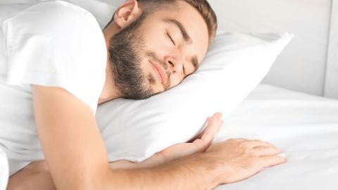 shutterstock_782559754