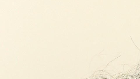 Llegar a los 90 o 100 años activos, con buena salud y emocionalmente bien, es un gran regalo.