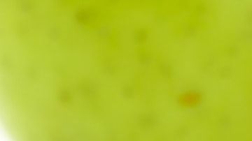 Apps para aprender brujería.