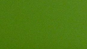 Aunque la comida no es igual a la auténtica comida mexicana, han tenido mucho éxito.